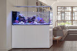 Red Sea Reefer 650 Peninsula System 140 Gallon