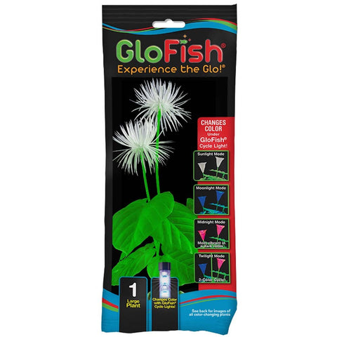 GloFish Color-Changing Yellow Plant