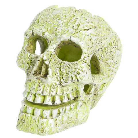 GloFish Skull Ornament