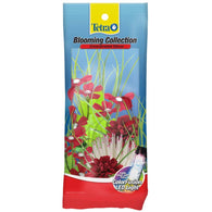 Tetra Blooming Collection Plants