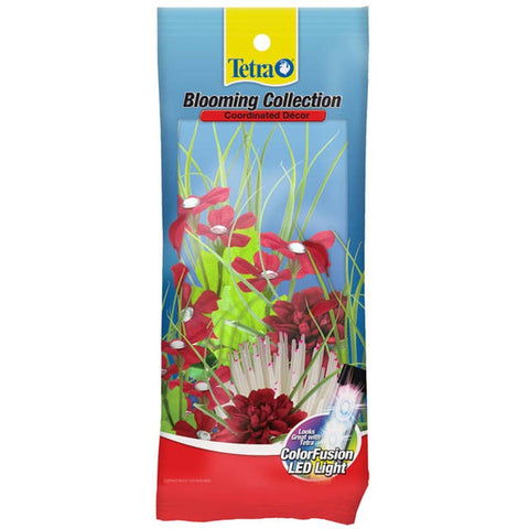 Tetra Blooming Collection Plants