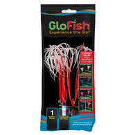 GloFish Color-Changing Orange Plant