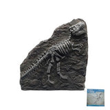 Marina Fossil Ornament T-Rex