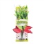 MA Ntrl  Red/Green Pickerel Silk Plant L