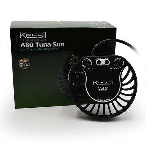 Kessil A80 Tuna Sun