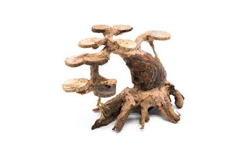 Bonsai Aquarium Driftwood - Small Bonsai Driftwood 100S