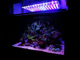 Orphek Atlantik V4 Reef Aquarium LED lighting