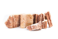 Red Petrified Wood