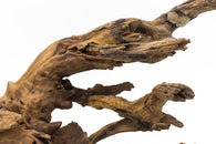 Pacific Driftwood