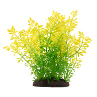 Fluval Sunrise Water Violet Plant 8in