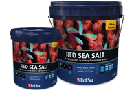 Red Sea Salt