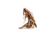 Weeping Bonsai Aquarium Driftwood