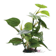 Fluval Anubias Plant 12in