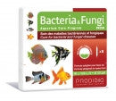 Prodibio Bacteria & Fungi - Freshwater - Bay Bridge Aquarium and Pet