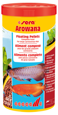 Sera Arowana