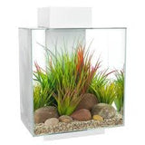 Fluval Edge Aquarium Kit. 12 US GAL. ( 46 L )