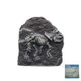 Marina Fossil Ornament T-Rex