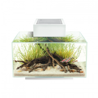 Fluval Edge Aquarium Kit. 6 US Gal. ( 23 L ), White