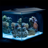 Fluval SEA Evo Saltwater Aquarium Kit