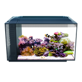 Fluval SEA Evo Saltwater Aquarium Kit