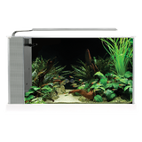 Fluval Spec Aquarium Kit 5 US Gal (19 L)