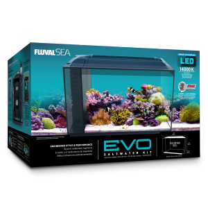 Saltwater fish top tank kit