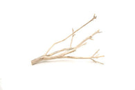 Manzanita Driftwood Small (8-10")