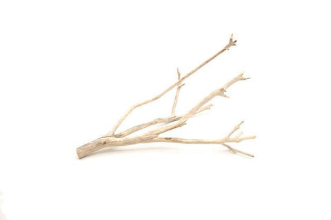 Manzanita Driftwood Small (8-10")