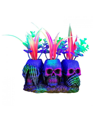 Marina iGlo 3 Skulls with Plants, Small