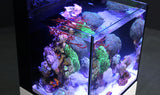 Red Sea MAX NANO Reef System 20 Gallons