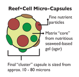 New Life Spectrum CELL Formula