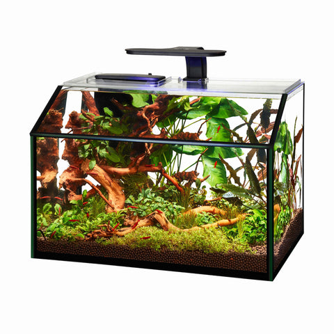 Aqueon 8.5G Designer LED Shrimp Aquarium Kit - Bay Bridge Aquarium and Pet