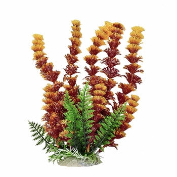 Aquatop Cabomba Plant 12" - Bay Bridge Aquarium and Pet