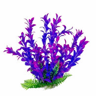 Aquatop Hygro Plant Pink/Purple - Bay Bridge Aquarium and Pet